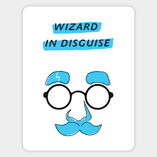 Wizard In Disguise Magnet